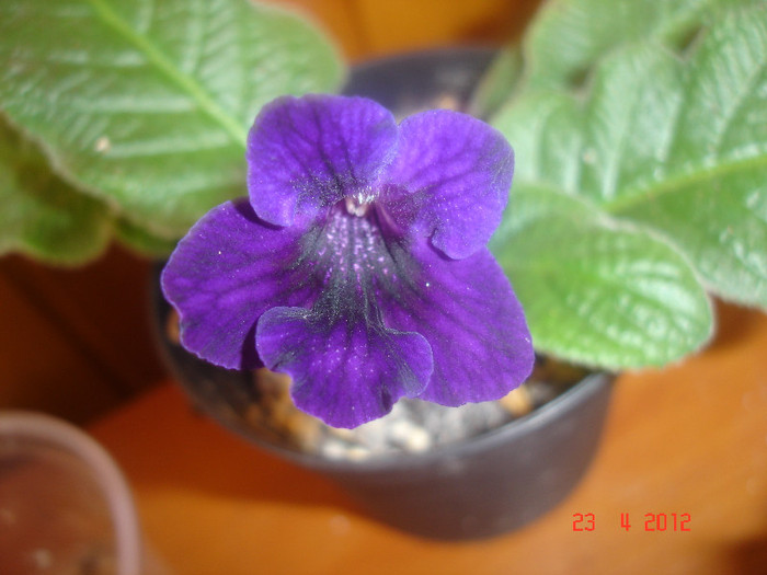DSC04362