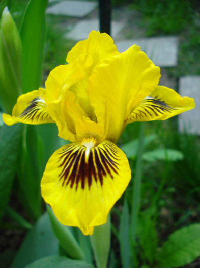 7.1. "Eyebright", 28.04.2012