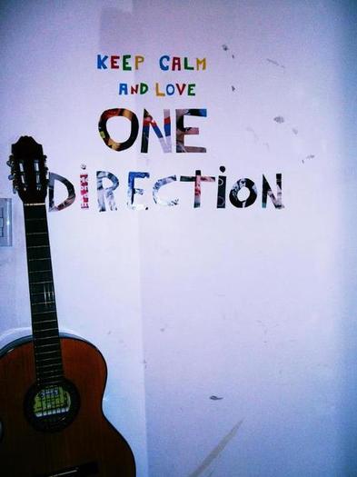  - x_I am a DIrectioner__x0