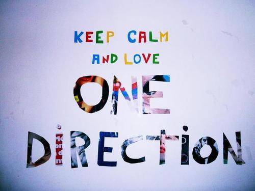  - x_I am a DIrectioner__x0