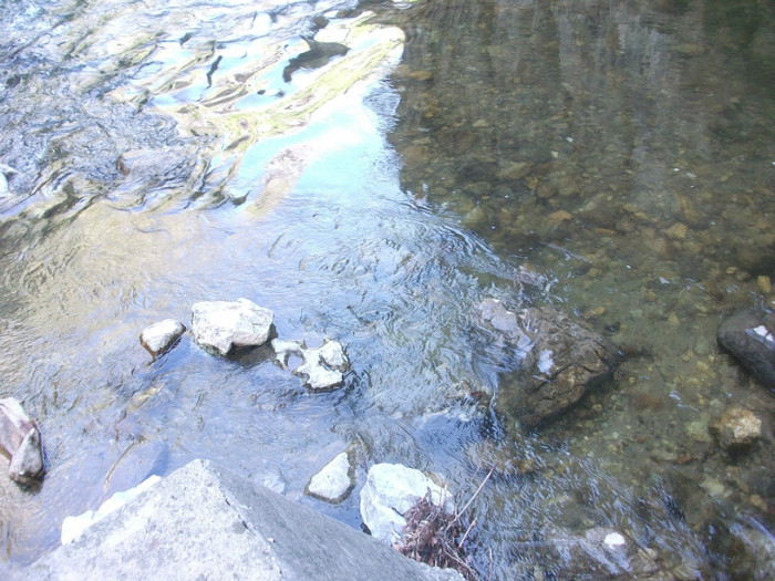 poze 093 - plimbare pe Sohodol