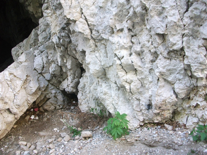 poze 102 - plimbare pe Sohodol