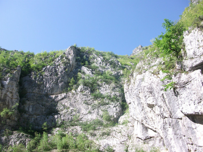 poze 109 - plimbare pe Sohodol