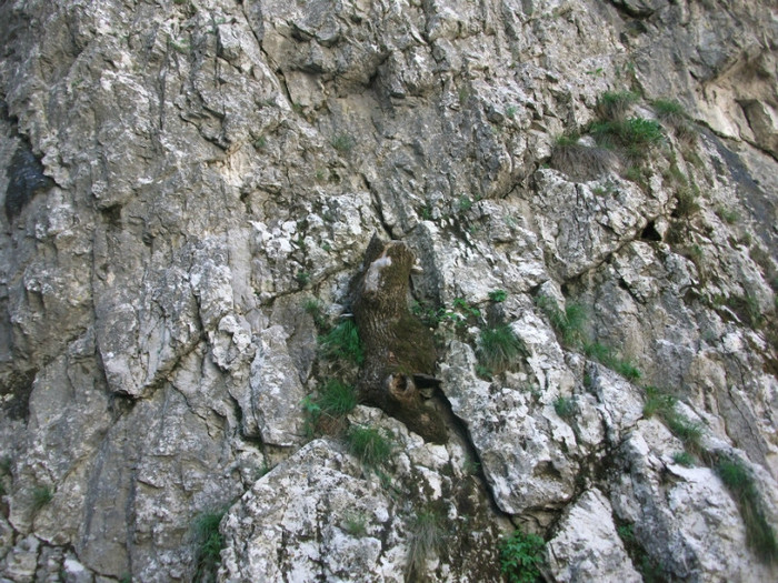 poze 128 - plimbare pe Sohodol