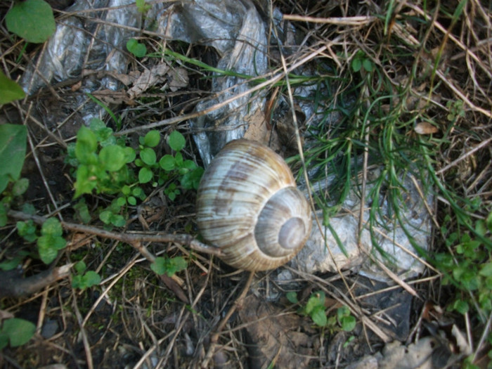 poze 131 - plimbare pe Sohodol