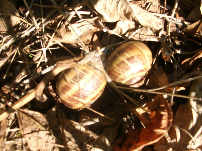 poze 134 - plimbare pe Sohodol