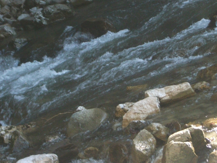 poze 138 - plimbare pe Sohodol