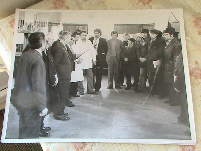 FRSC-foto-expozitie-columbofila-in-Romania-2