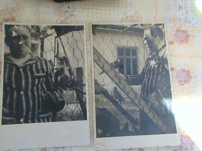 Traian-Nitescu-foto-1