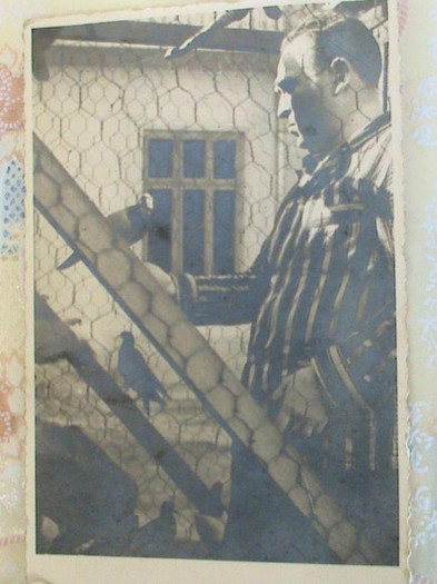 Traian-Nitescu-foto-2