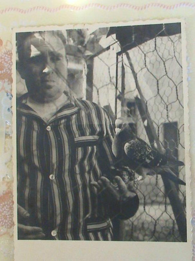 Traian-Nitescu-foto-3