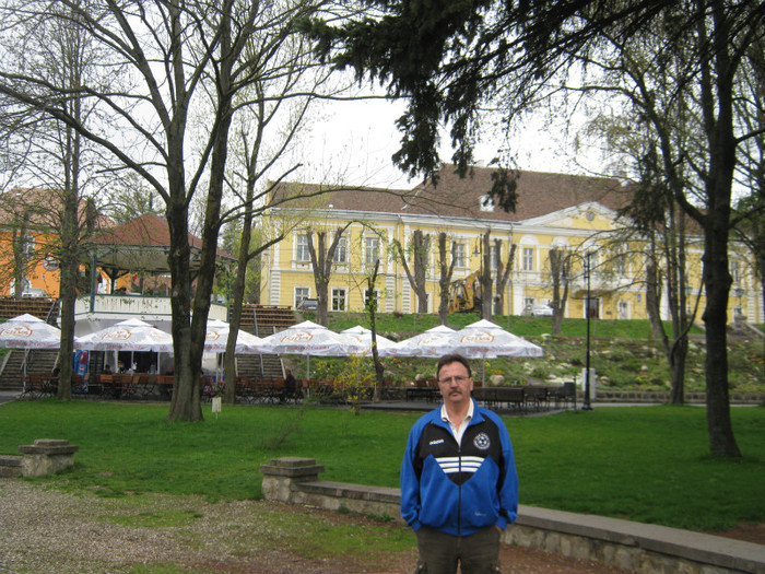 biblioteca orasului - zilele orasului Sf Gheorghe