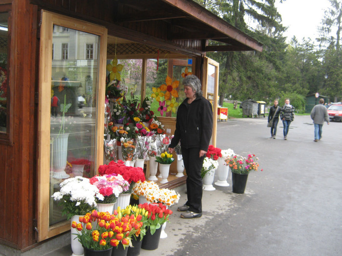 cumparam si flori - zilele orasului Sf Gheorghe