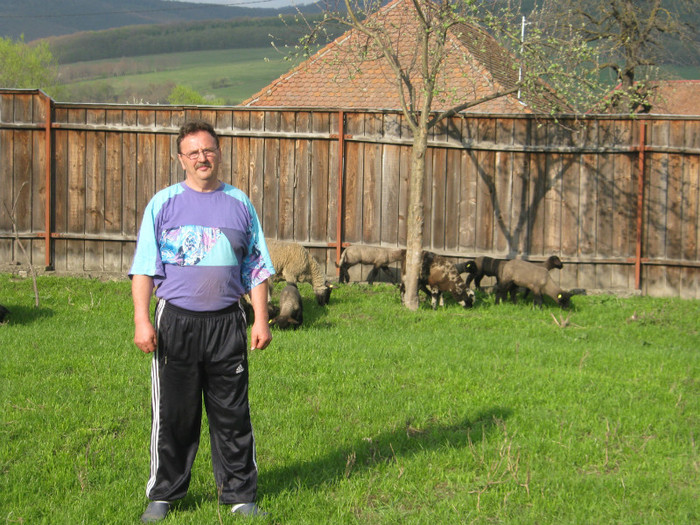 romania-april- 075 - 1animale ce cresc alatok a mit most tartok