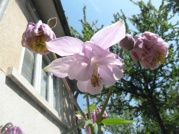 P1050275