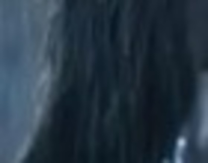 21501119_DOTJNIVJJ_004 - Puzzele Selena Gomez