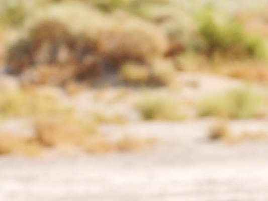 selena_gomez_a_year_without_rain_2010-normal_004