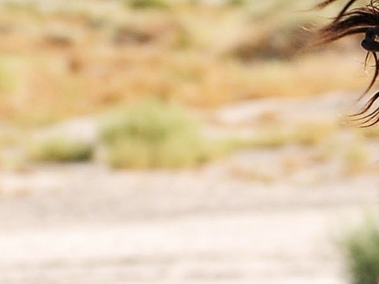 selena_gomez_a_year_without_rain_2010-normal_005