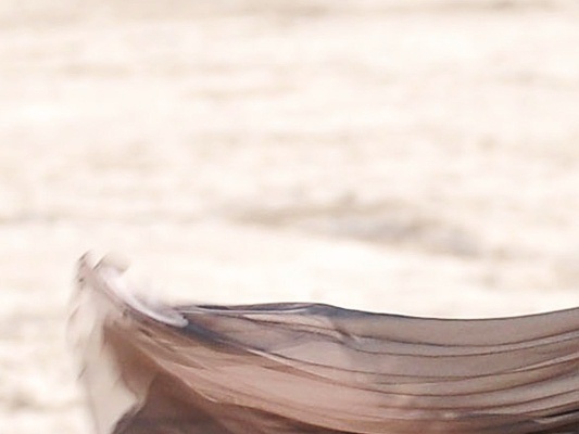 selena_gomez_a_year_without_rain_2010-normal_007
