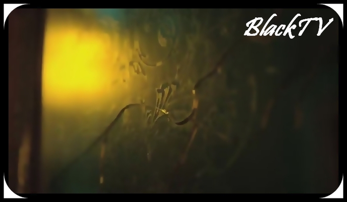 Voia sa se intoarca, dar se auzi soneria de la usa.