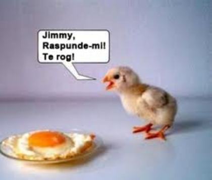 Jimmy,Raspunde-mi!Te Rog - Poze frumi