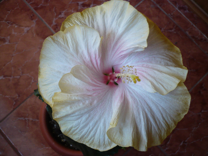 P1120956