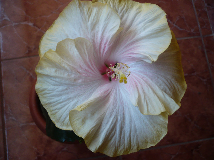 P1120957