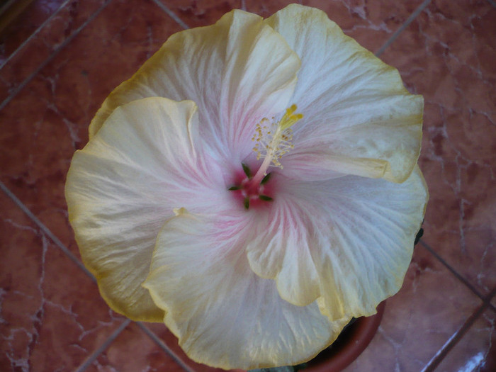 P1120958