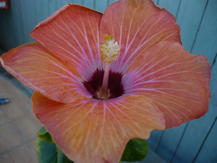 P1120960