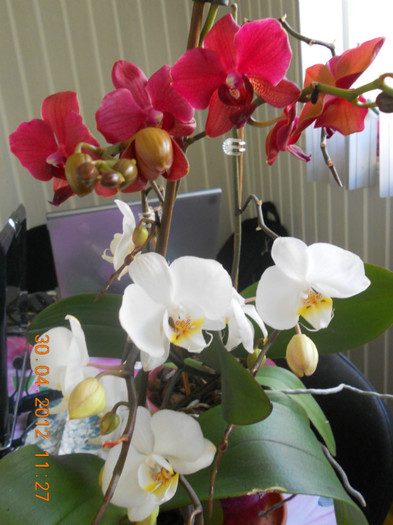DSCN0752