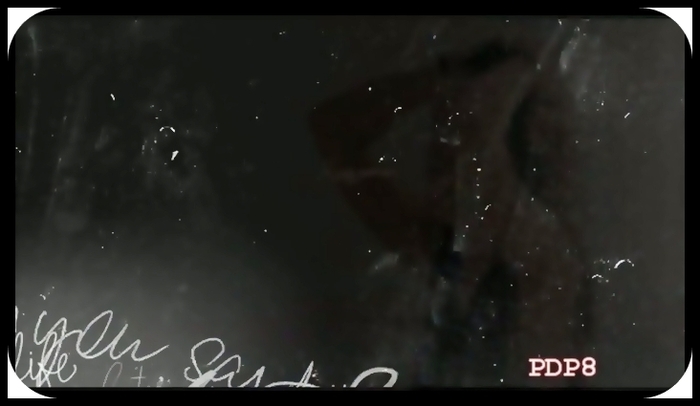 Dupa cateva minute, fetele plecara, iar Chris era in camera sa uitandu-se pe laptop. - 8_Dictat de o fantoma - Renunt