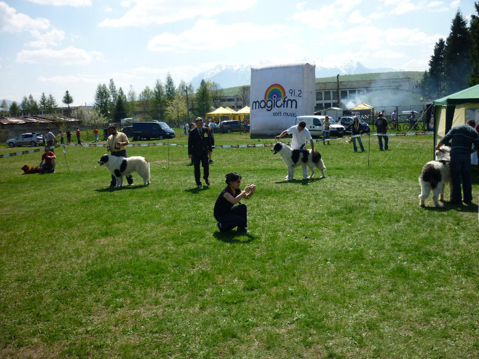 P1020505 - expo CAC BRASOV 28-04-2012