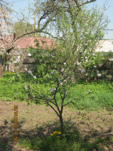 IMG_1330 - april 2012