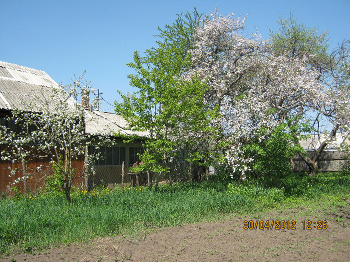 IMG_1337 - april 2012