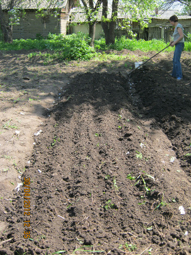 in campul muncii - april 2012