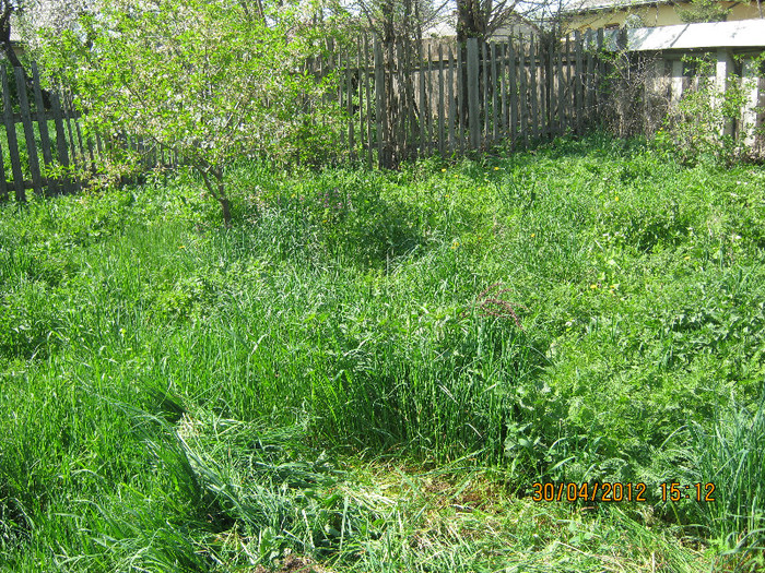 iarba mare - april 2012