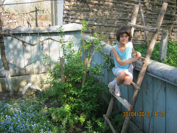 IMG_1348 - april 2012