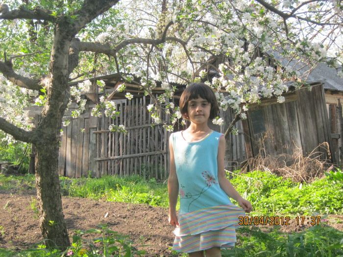 IMG_1349 - april 2012