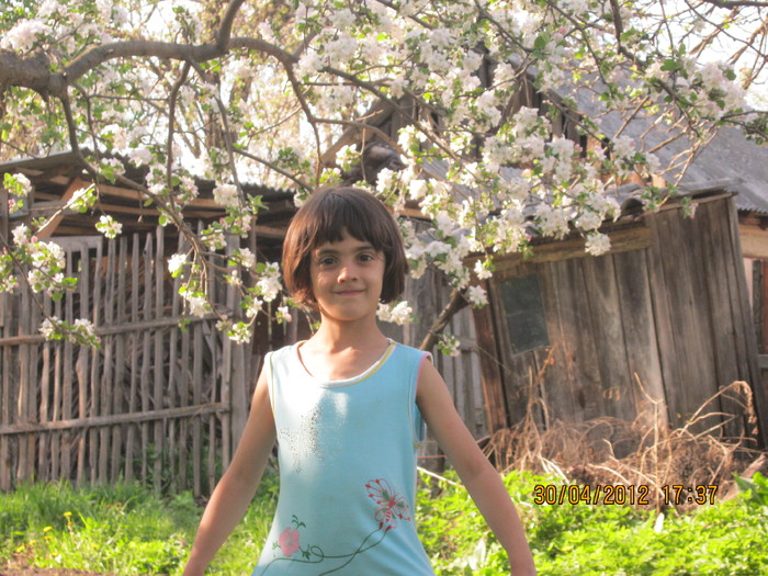 IMG_1350 - april 2012