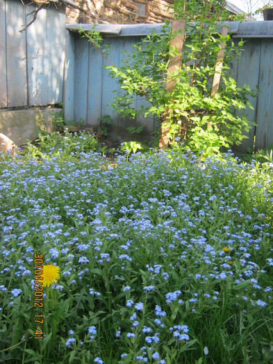 IMG_1354 - april 2012