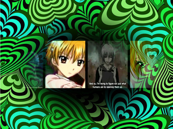 sai and yako 11