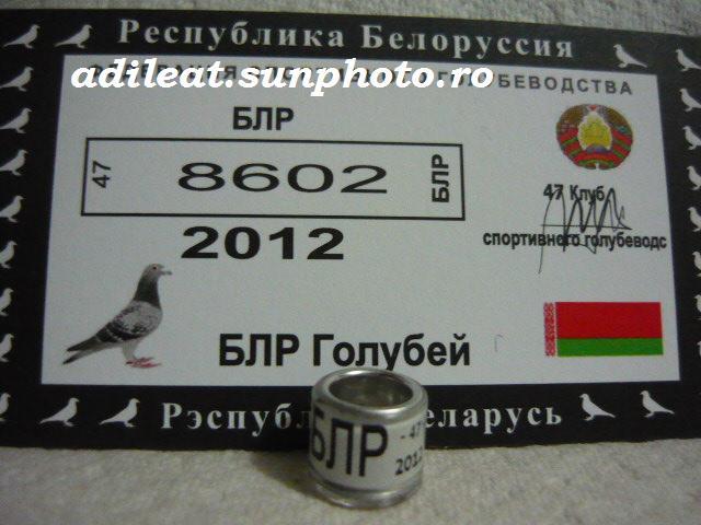 BIELORUSIA-2012 - BIELORUSIA-ring collection