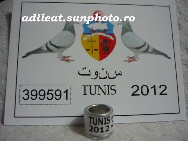 TUNISIA-2012 - TUNISIA-ring collection