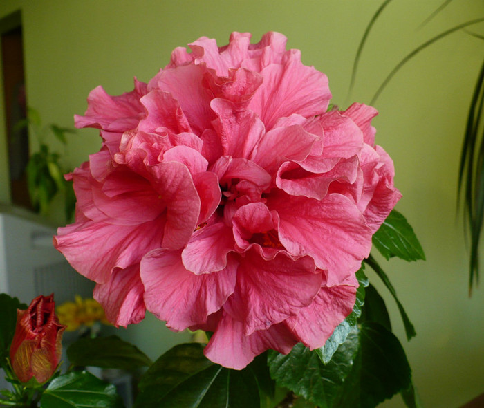 P1380689