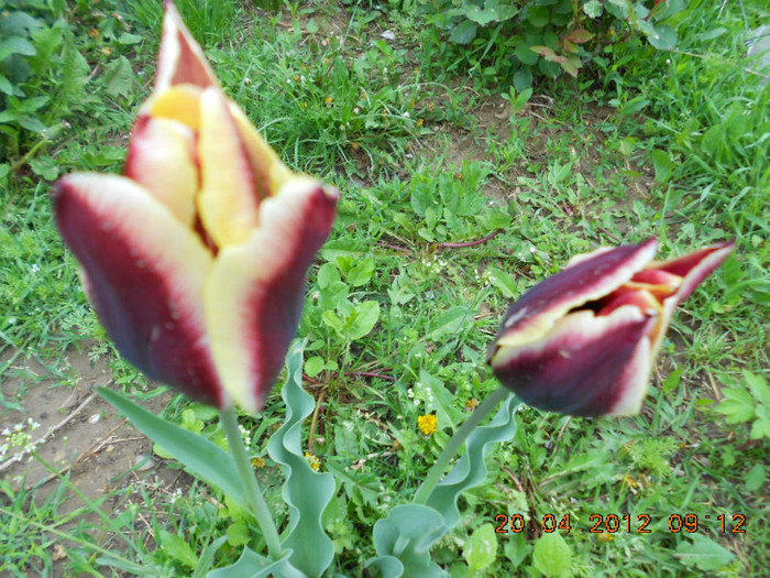 DSCN2071