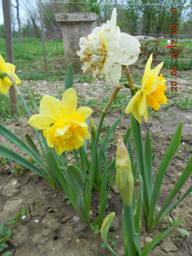 DSCN2072