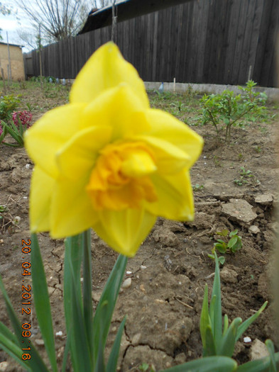 DSCN2076
