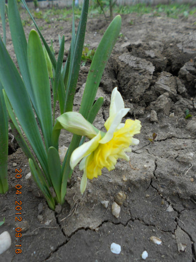 DSCN2077