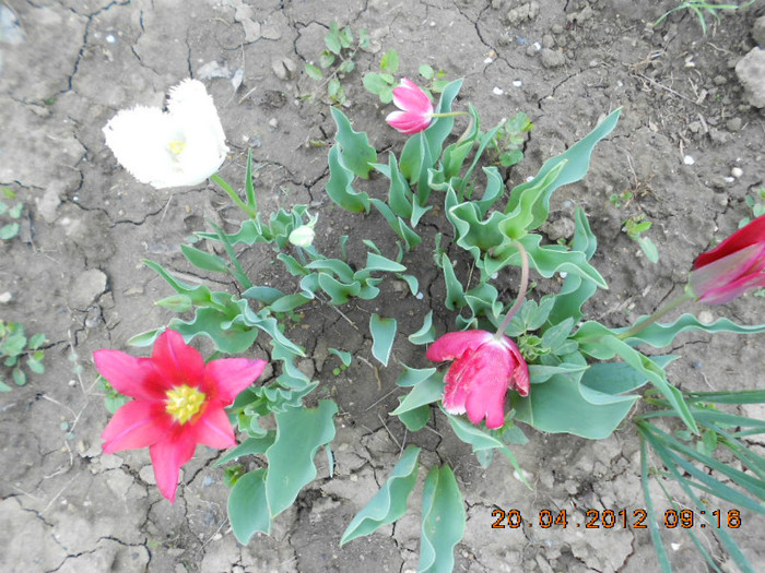 DSCN2078