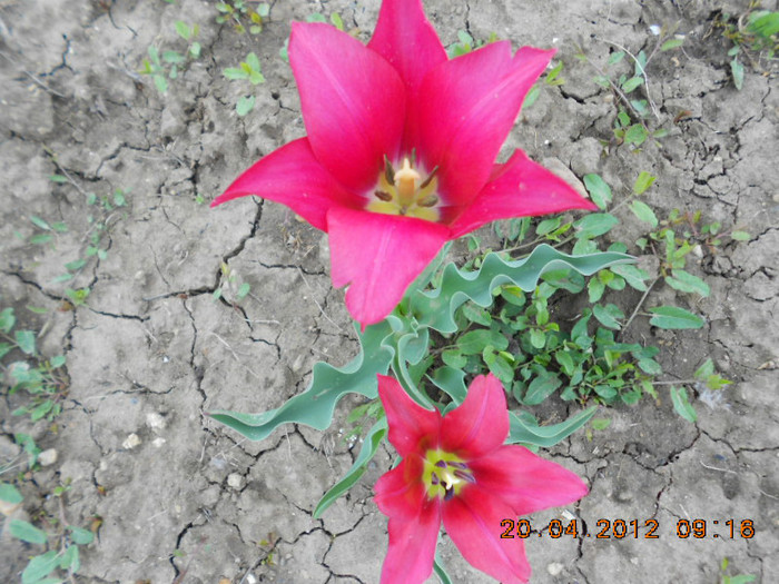 DSCN2081